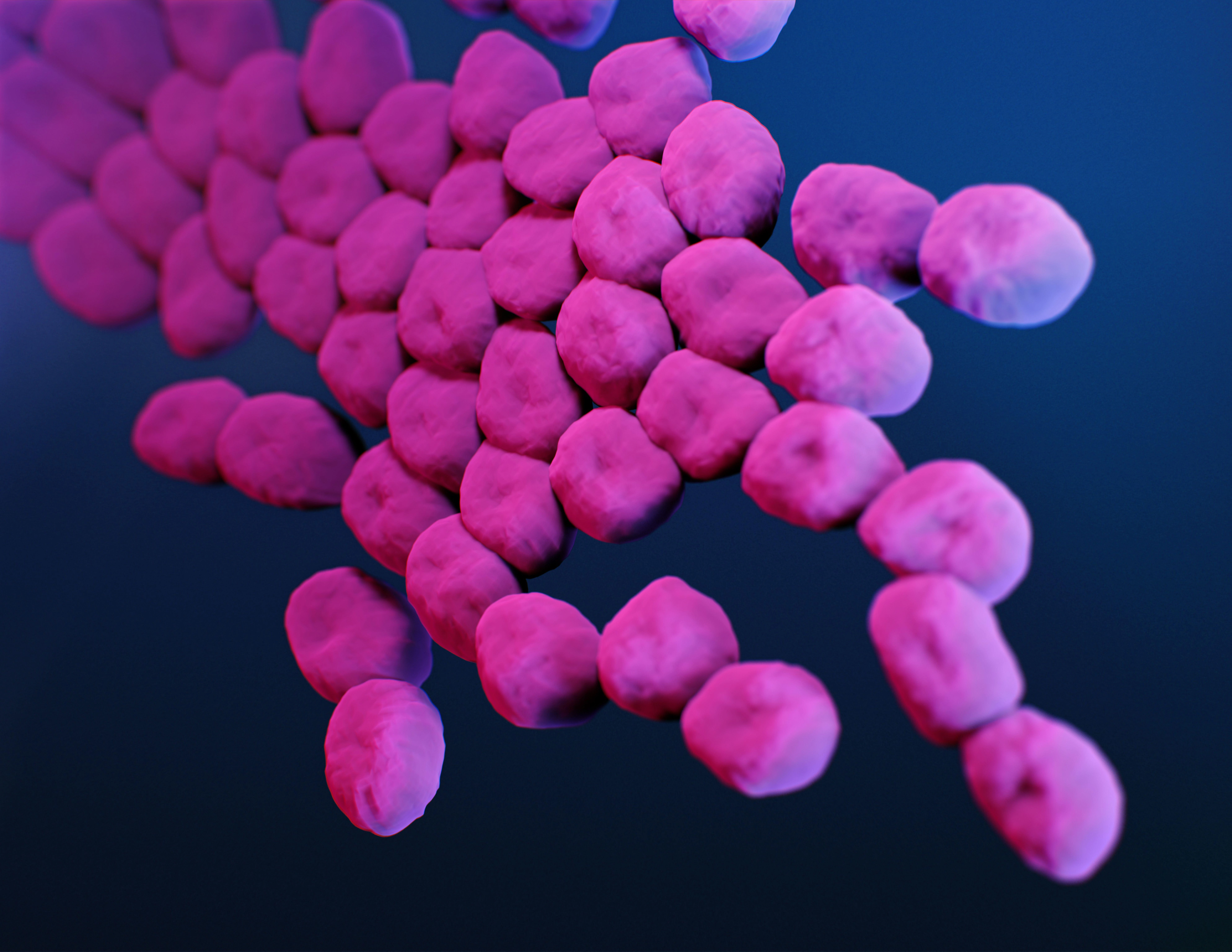 3D illustration of a acinetobacter baumannii bacteria stock photo
