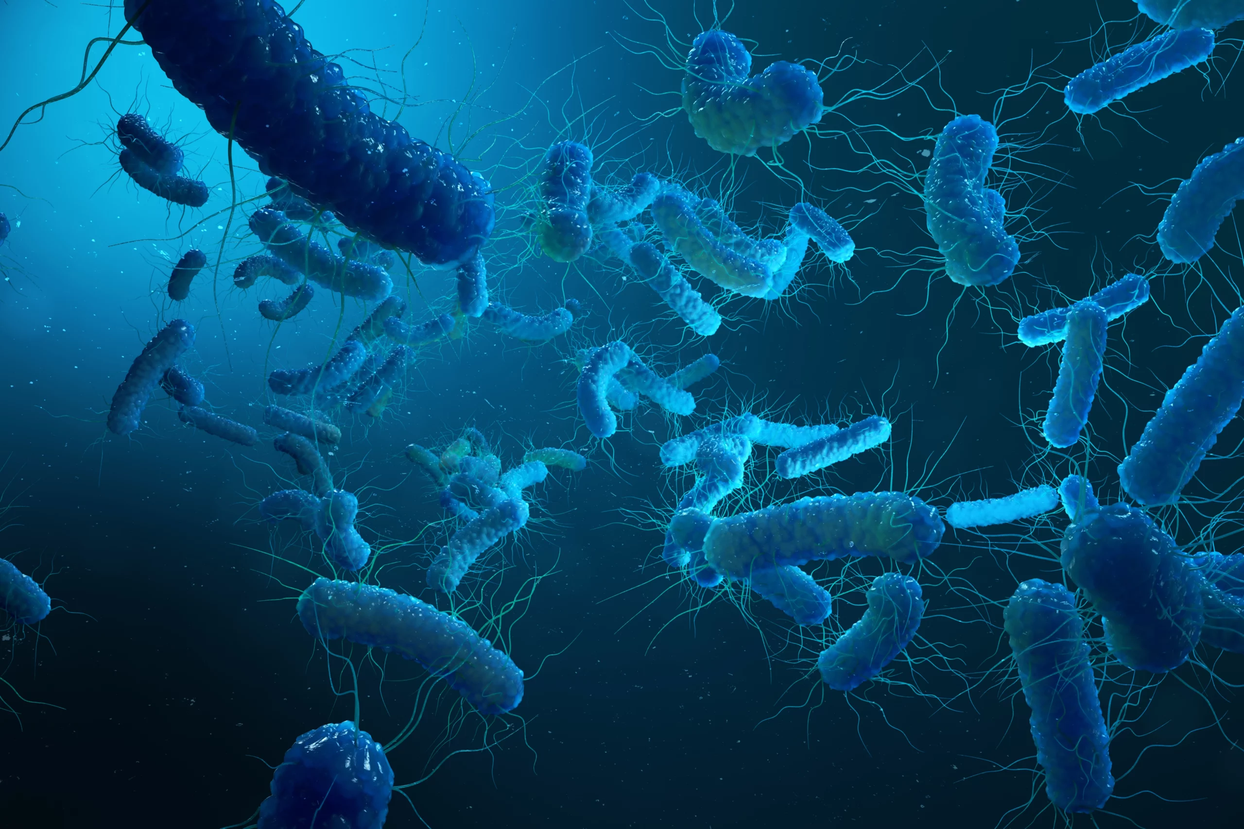 3D illustration of Gram negative bacteria.